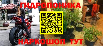 ГАЛЛЮЦИНОГЕННЫЕ ГРИБЫ Конаково